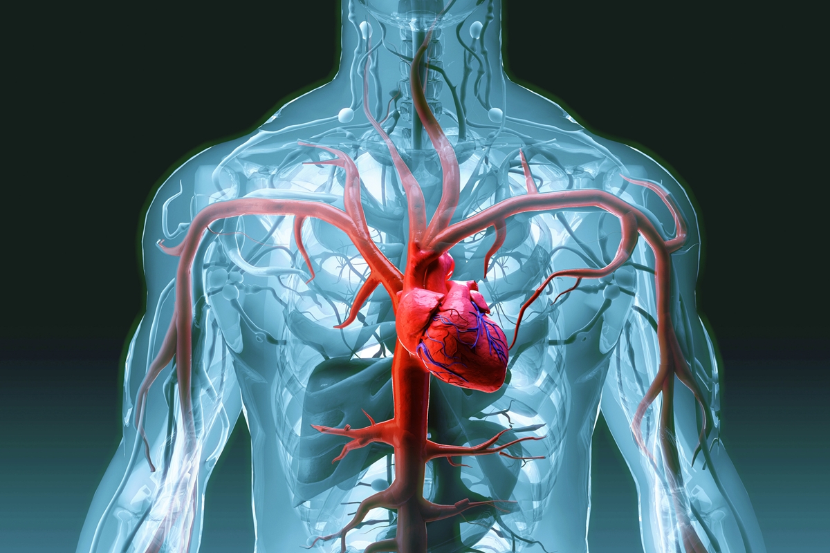 Cardiologista explica como as gorduras boas e ruins afetam o coração