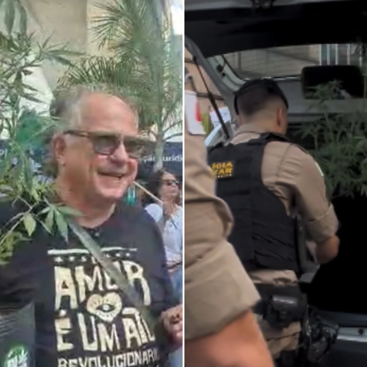 PC vê possibilidade de devolver pé de maconha levado de camburão em BH