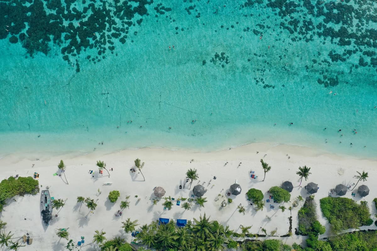 IA está ajudando a fazer praias “crescerem” e pode virar uma nova arma contra a erosão causada pela elevação do mar