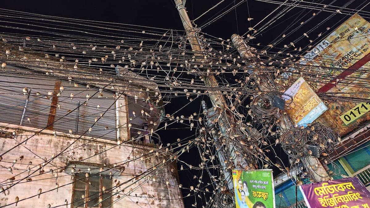 Em uma cidade movimentada, à noite, centenas de pardais