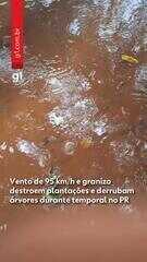 Temporais deixam estragos em cidades do Paraná